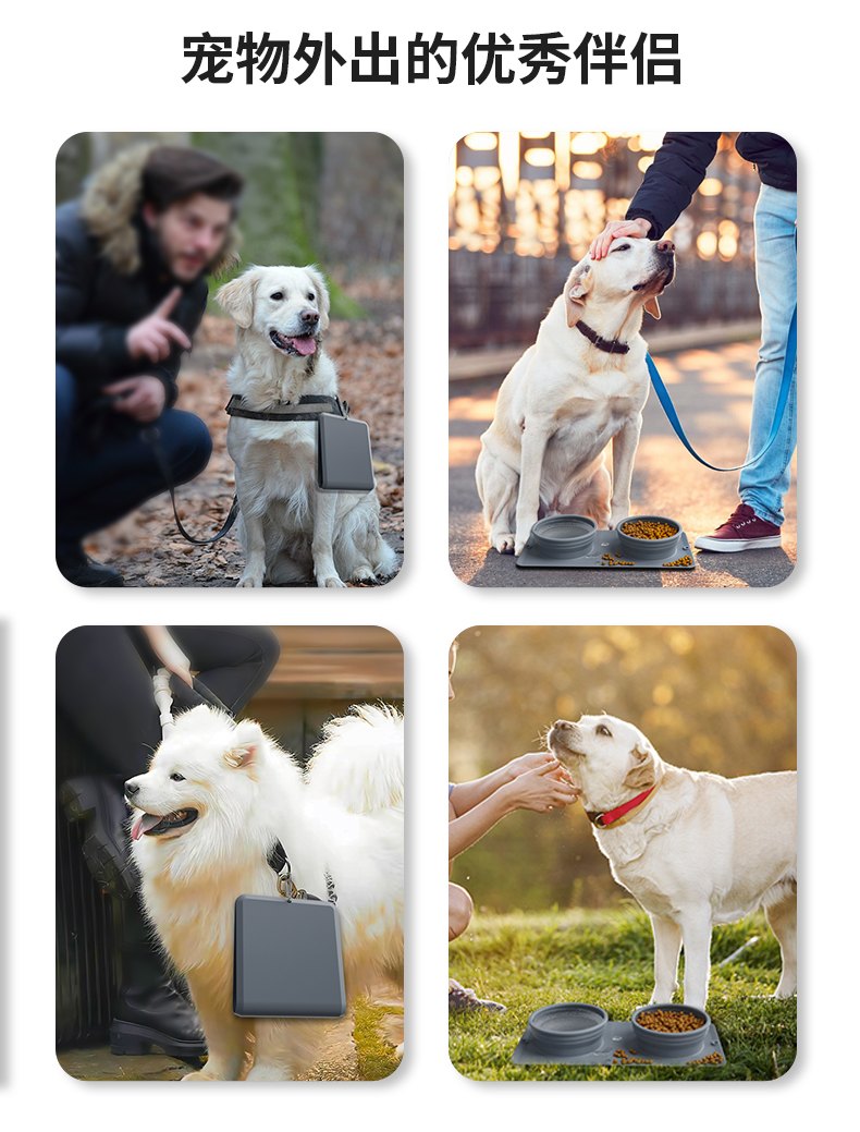 Collapsible Double Pet Bowl for Travel Feeding and Drinking 4